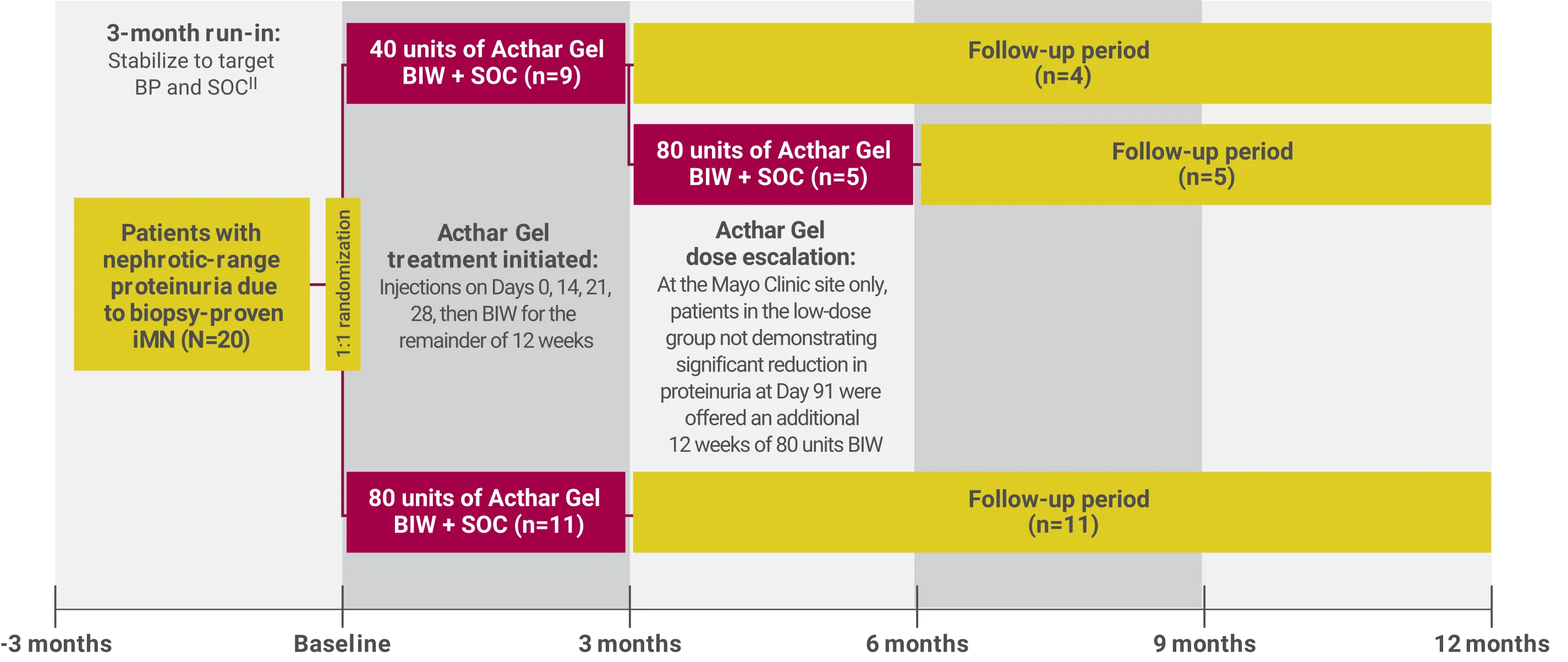Acthar Gel iMN study design